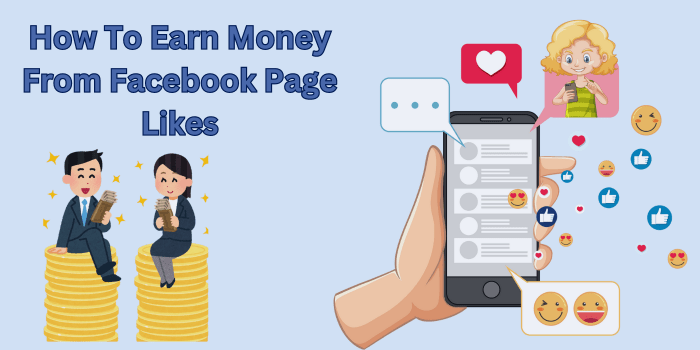 How To Earn Money From Facebook Page Likes?